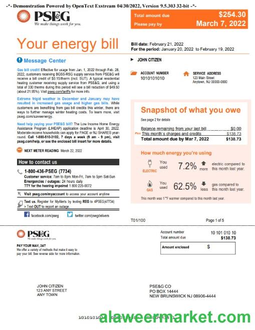 USA New York PSEG utility bill, Word and PDF template, 5 pages 1